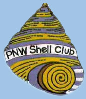 Pacific Northwest Shell Club